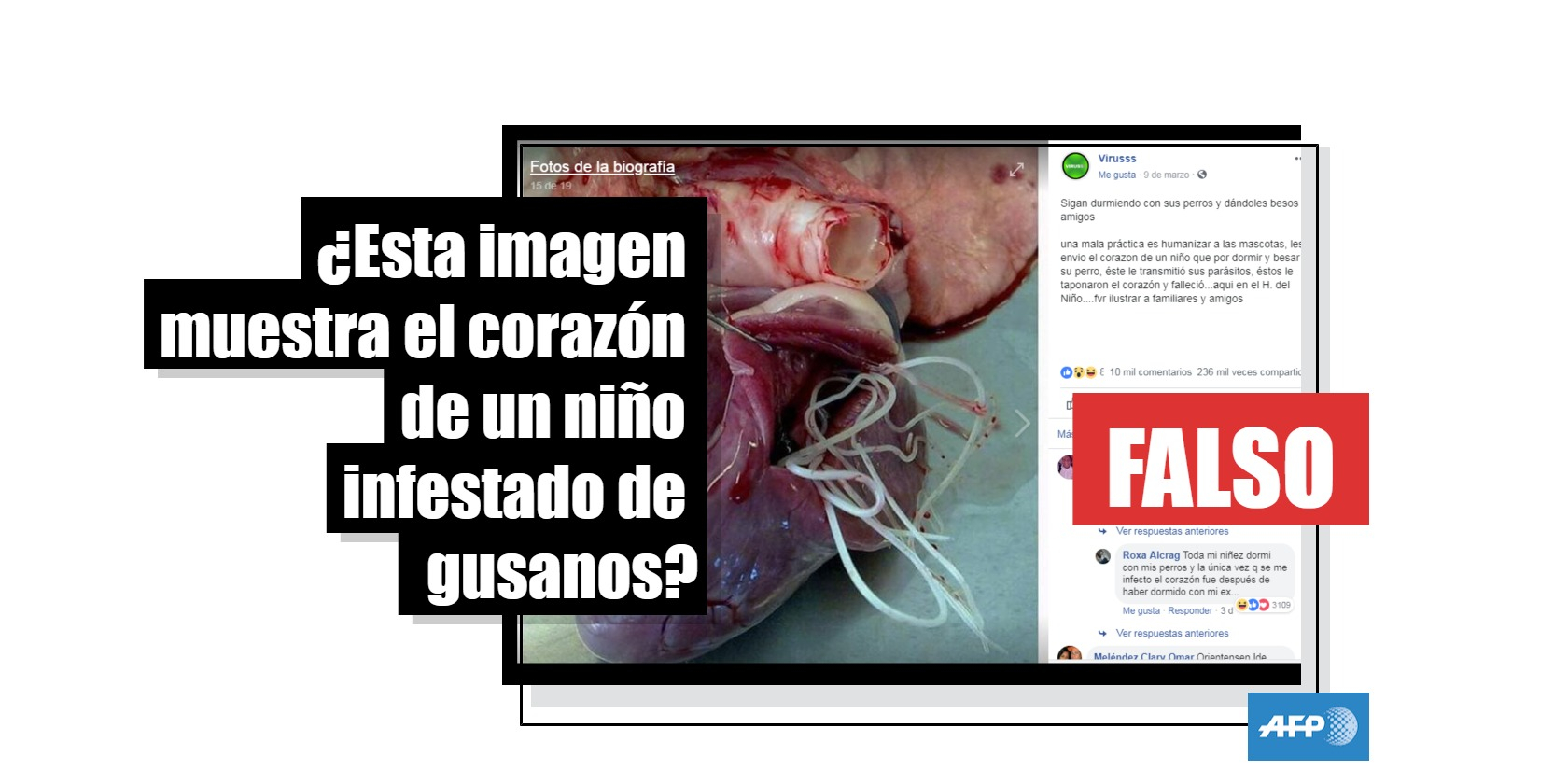 puedes contraer gusanos por dormir con tu perro